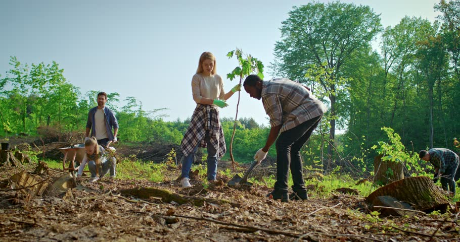 Diverse team of environmental activists planting trees outside at forest and taking care of nature. Team of multicultural volunteers with shovels and planting plant in soil. Charity work concept. Royalty-Free Stock Footage #1105971869