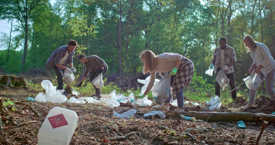 Volunteer, community service and people cleaning plastic in forest with garbage bags. Diverse woman and man team help with trash for eco-friendly lifestyle and recycling in nature for clean enviroment