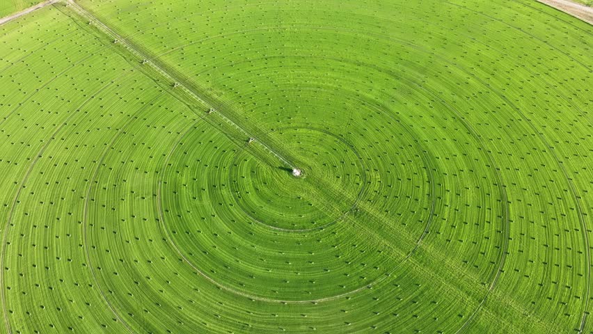 Aerial shot of circular farms in the California desert Royalty-Free Stock Footage #1105978601