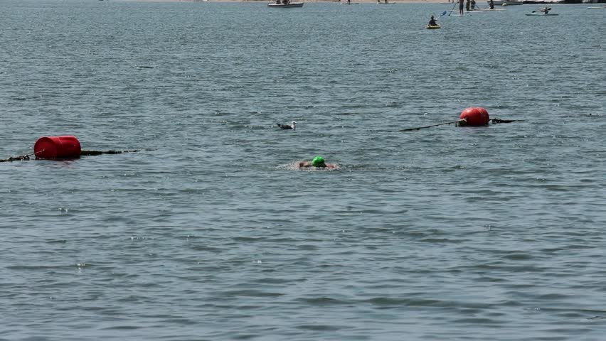 A man swimming in the ocean water with people rowing paddle boards on the rippling blue water and seagull swimming at Horny Corner Beach in Long Beach California USA