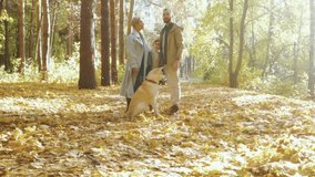 happy family son and their pet having fun, rest, standing in the park on a warm autumn day Slow motion friendly smiling family with child and dog on walk in autumn forest, great time with relatives