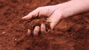Close up of a male hand testing the agriculture soil - 4K video  