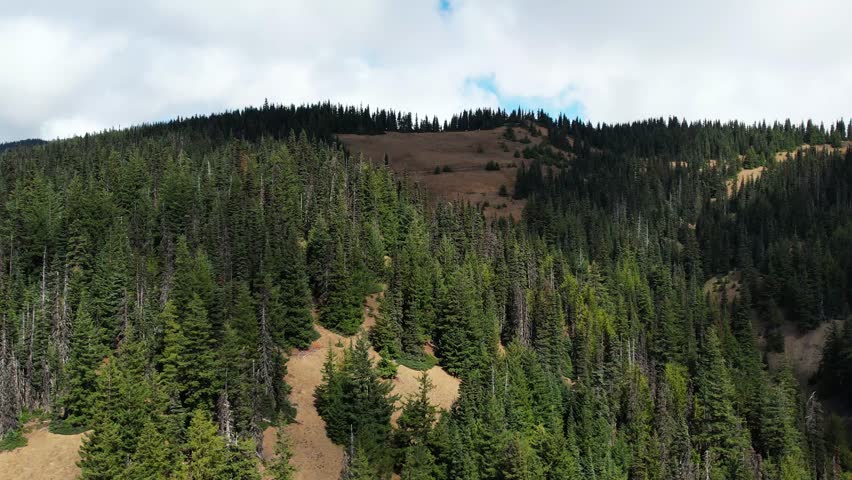 Stunning aerial view of the mountains in Olympic National Park, Washington. Experience the beauty of nature from above.