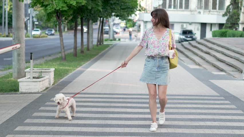 Slow motion of smiling young female in casual outfit holding takeaway coffee while walking with Bichon Frise dog on sidewalk in city during daytime