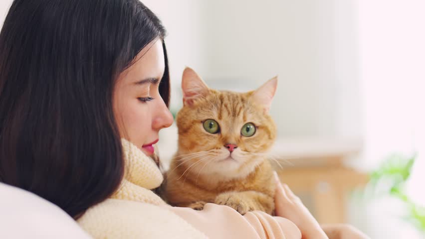 Asian woman holding and play with little cat with happiness at home. Attractive beautiful female lying down on bed, spend leisure time hug and massaging her pet animal with gentle in bedroom in house. Royalty-Free Stock Footage #1106011125