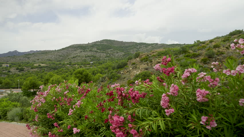 Road junction in the hills of Spain. High quality 4k footageRoad roundabout in the hills of the coast of Spain. Green trail Benicassim among the rocks along the Mediterranean coast