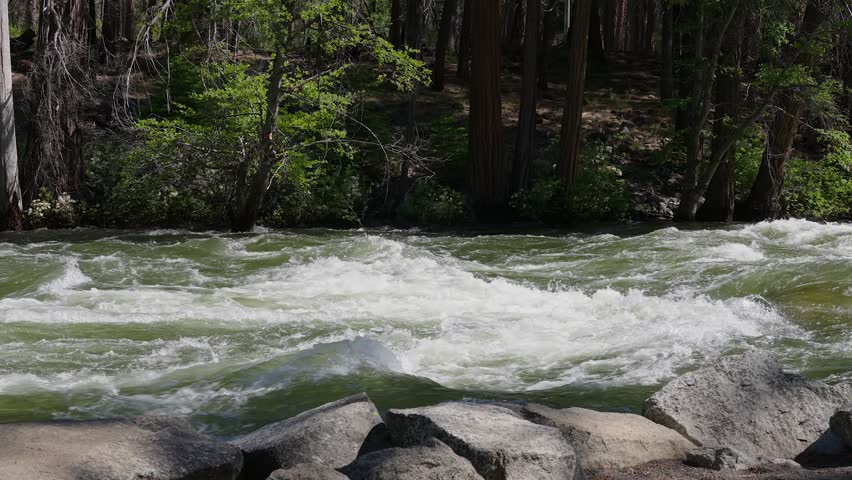 fast river in the forest