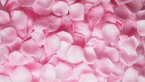 Pink Rose Petals falling,slow motion - Powered by Shutterstock - Get 15% off with code: PIKWIZARD15