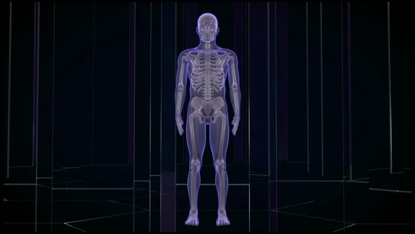 medical 3d animation of male having acute pain in the back. Human anatomy x-ray Injury ill disease Royalty-Free Stock Footage #1106034247