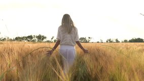 girl is walking along the wheat field nature slow motion video. Beautiful girl lifestyle in white dress running nature freedom happiness hands to the side on field at sunset light and the blue sky