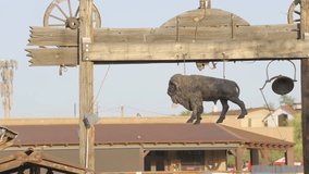 This panning video shows a buffalo sign hanging over a rodeo ranch scene.