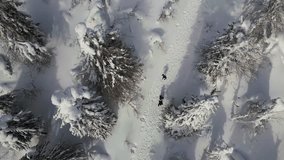Top view of people walking into mountains in winter forest. Clip. People goes on winter hike in mountains. People walks uphill in winter in forest