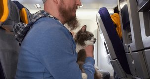 Your pets with you on journey. Cinematic video: Bearded man with cat travelling together by economy class plane. Your pets with you on journey flying. Concept Your pets with you on journey in by plane