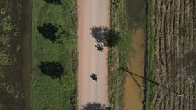 a cyclists are riding on a village road and the drone is following him overhead. Cambodia, southeast asia