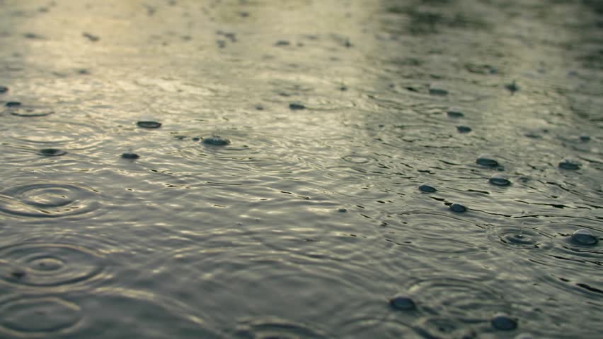 Rain drop storm wet forest weather cloud branch tree puddle Royalty-Free Stock Footage #1106055939