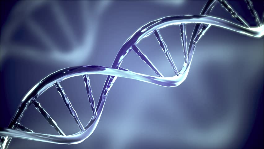 DNA genome double helix loop animation 3d, cience and medicine concepts. technology, medicine, gene therapy, development, engineering, Medical research, genetic engineering, biology.  | Shutterstock HD Video #1106063041