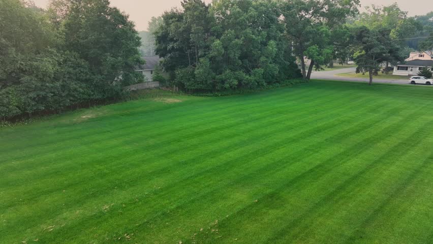 Following along with stripes on a lawn.