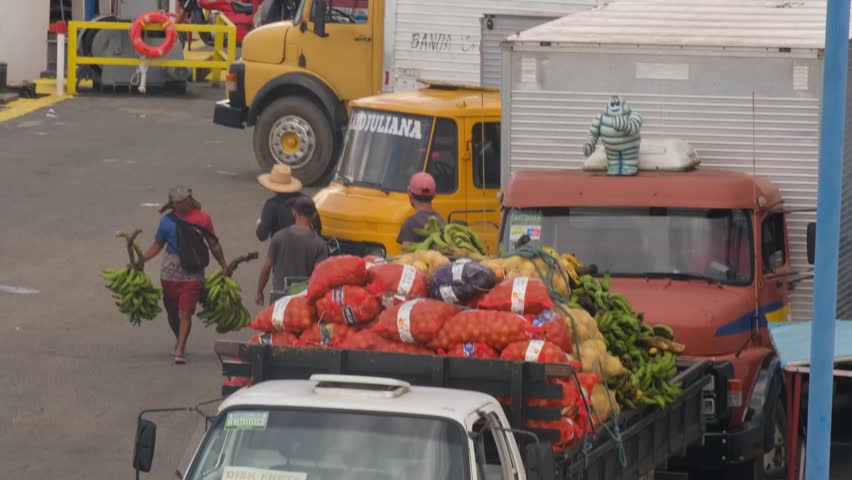 manaus , Brazil - 07 09 2023: longshoreman carry banana in the truck in port