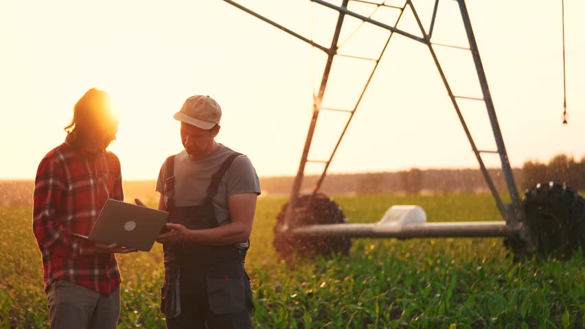 irrigation agriculture. two farmers silhouette with a laptop work in field with corn at the back is irrigating corn sprouts. business team agriculture irrigation lifestyle concept Royalty-Free Stock Footage #1106086929