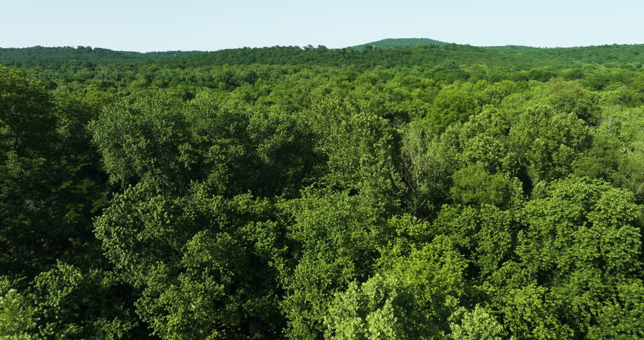 Lush Green Forests In Arkansas, USA - aerial drone shot