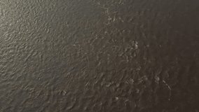 4k video of drone wave of the congo river, which sees the water follow its course