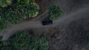 Vertical video. Black SUV car travel automobile slow riding on dirt road turn with palm trees aerial view top shot. Drone tour tourism vehicle silver roof rails driving by way at forest tropical plant