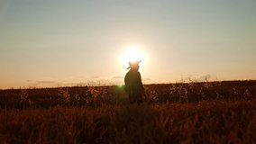 Side view silhouette of a man in hat walking by the field. Farmer in plantation at sunset. - Powered by Shutterstock - Get 15% off with code: PIKWIZARD15