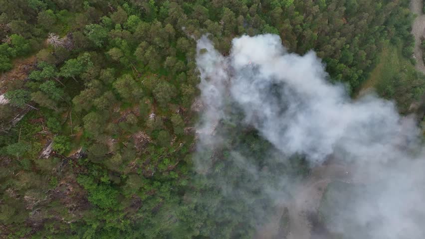 Forest fire burning on mountain ridge during dry summer. View from above. Royalty-Free Stock Footage #1106108253