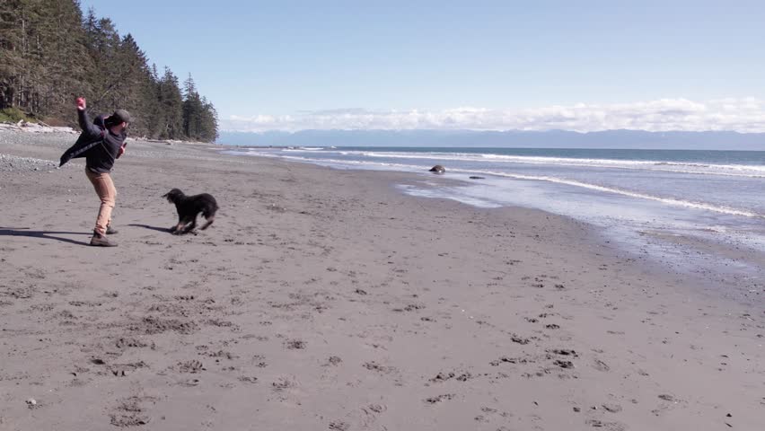 Man playing with dog on beach on sunny day, beautiful coastline, ocean, West Coast Canada, Vancouver Island. 4K 24FPS.