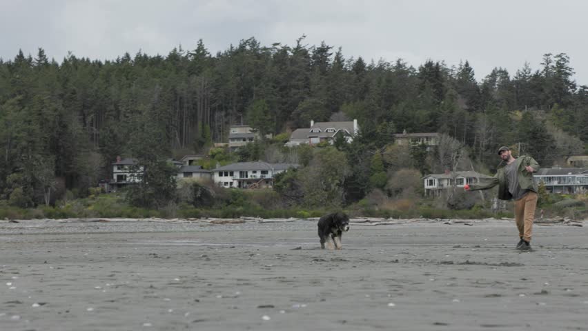 Man playing with dog on beach, beautiful coastline, ocean, West Coast Canada, Vancouver Island. 4K 24FPS.