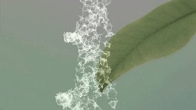 Animation of dna strand spinning over leaf. Global science, medicine, research and data processing concept digitally generated video.