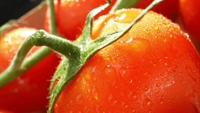 A macro video captures the essence of a ripe tomato, adorned with glistening droplets of water. Its vibrant colors and tantalizing textures evoke a sensory delight. Tomato background. 4K HDR
