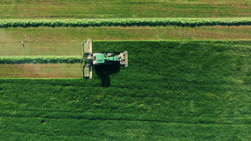 Tractor with mower trailer mows fresh green grass for silage, livestock feed or hay. Farmer work on agricultural field. Tractor driving along straight line with electronic autopilot. Aerial view Royalty-Free Stock Footage #1106135871
