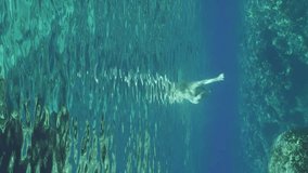 Vertical video, Extreme closeup dog swim over camera on bright sunny day in sunrays, Slow motion, Underwater shot