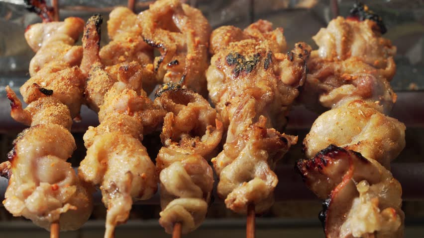 Street Food Teriyaki Chicken Skewers