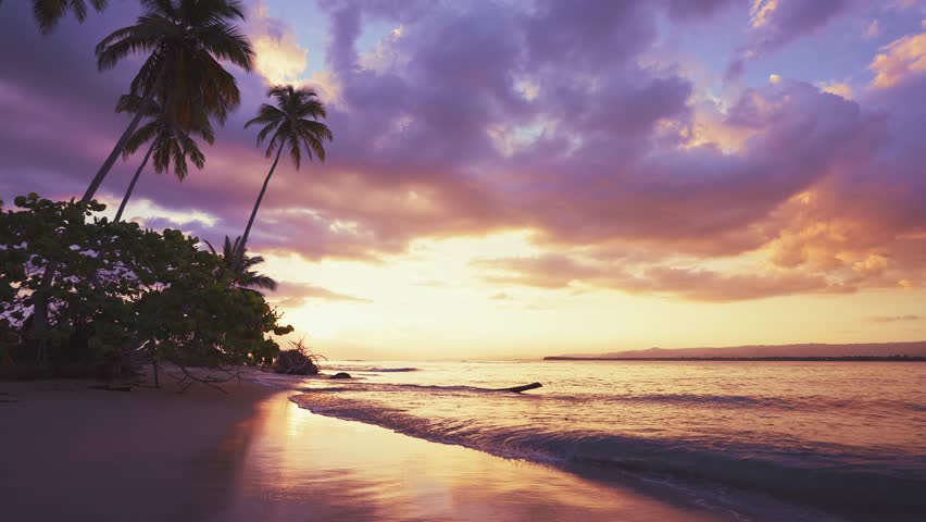 Hawaiian dawn over the sea on a summer tropical morning. Sea waves with a reflection of the sun. Palm silhouettes over the sea. Waves crash on the sand. A lilac-pink ocean under a purple sky.