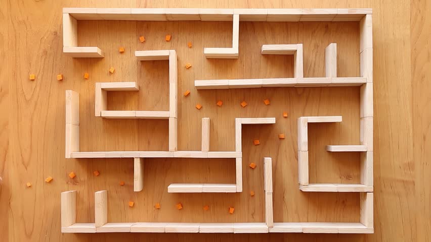  A red-haired, fat hamster crawls through the maze looking for a way out. Fluffy, Syrian hamster passes obstacles quickly. The rodent is coming out of the maze. View from above.