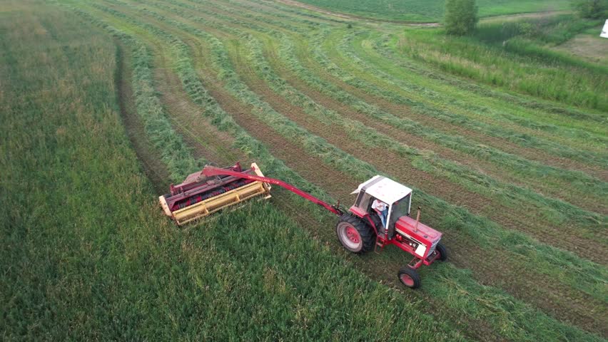 Using a hyrdoswing swather, a Wisconsin farmer cuts a field of alfalfa and grass. Alfalfa, also called lucerne, is cultivated as an important forage crop in many countries around the world.