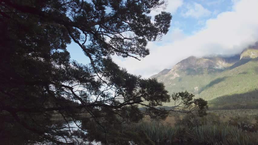 Native forest, mountains and lake. Mirror Lake, Milford Sound, New Zealand