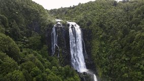 A tall Waikato waterfall tumbles off a cliff in New Zealands North island. The white water crashes onto rocks below while green forest surrounds the falls