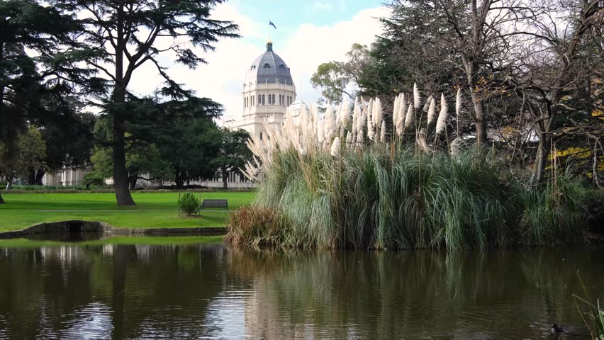 Beautiful scenery of water pond in Carlton gardens with the heritage landmark, the Royal Exhibition building in the distance. Peaceful environment with wild birds in Melbourne, VIC Australia.