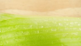 A macro video captures Japanese bunching onions adorned with delicate droplets of water, showcasing their vibrant green color and intricate textures. Vegetable concept. Onion background. 4K UHD
