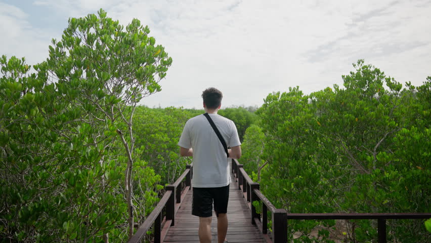 Venture into the heart of nature as a young Asian man walks along a captivating forest path. Each step reveals the beauty of the natural world, a serene journey of exploration and connection.