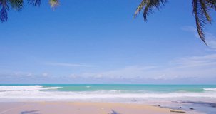 beach nature video sandy beach and coconut trees beach travel phuket thailand