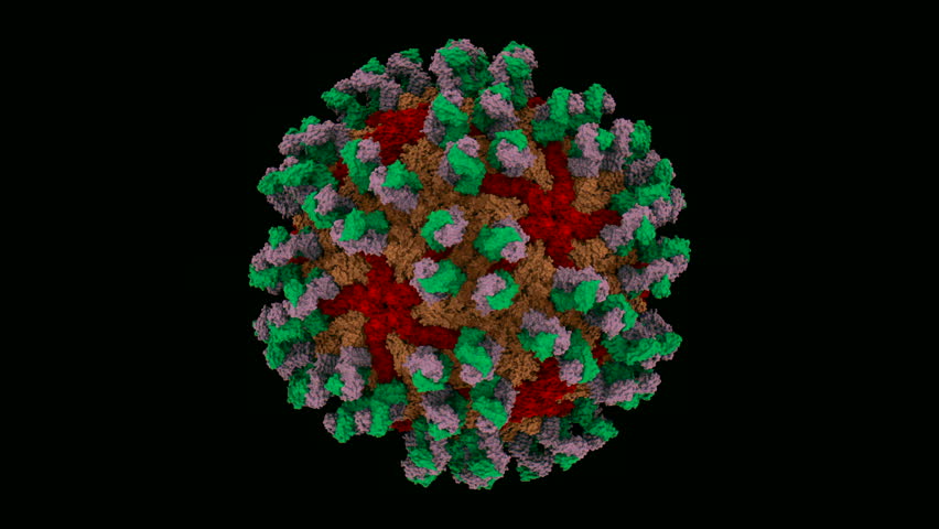 Zika Virus. Zika capsid (protein shell) rotating protein structure. PDB structure 7CBP. Protein Coat colourful black background - Powered by Shutterstock - Get 15% off with code: PIKWIZARD15