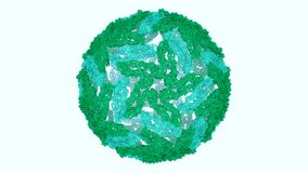 Dengue virus particle (Virion). PDB structure 3J35. Virus protein shell (coat, capsid) green blue.
