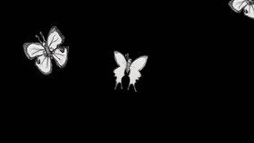Cartoon Butterfly animation over black background