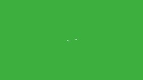 Animation loop video line element cartoon effect on green screen background 