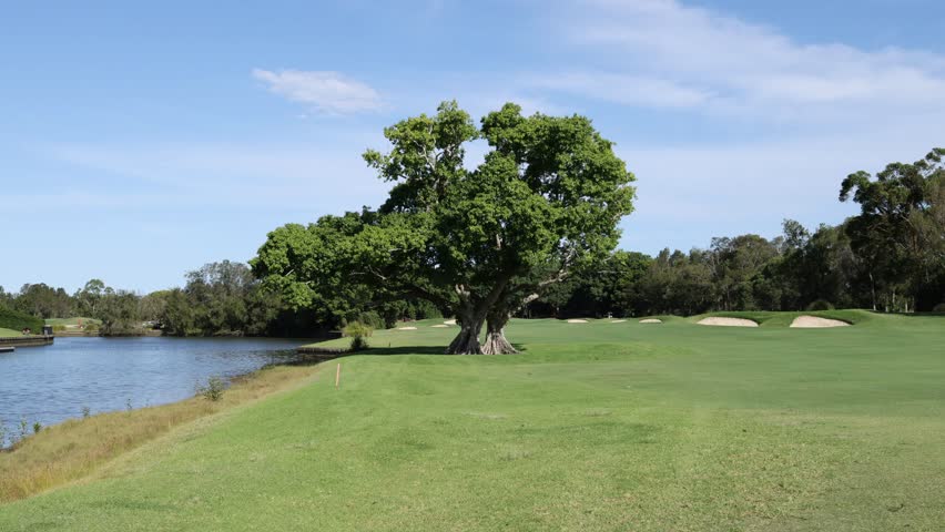 Tree as a Striking Element in the Golf Course Landscape