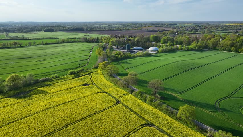 Aerial footage of countryside with biogas plant and silo. Yellow flowering rapeseed field with agricultural factory in the countryside. Renewable energy from biomass. Royalty-Free Stock Footage #1106264899